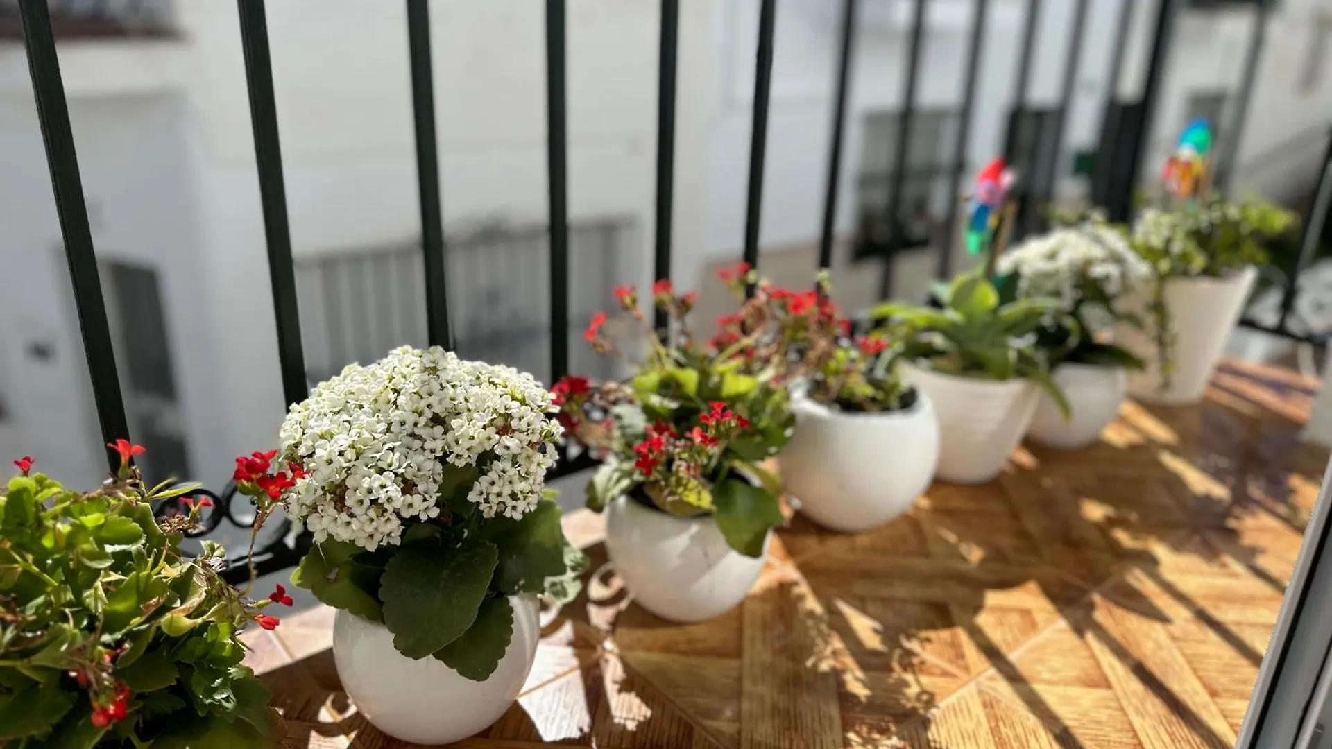 Apartmán Casa Del Mar Benalmádena Španělsko